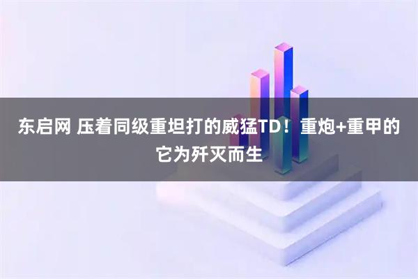 东启网 压着同级重坦打的威猛TD！重炮+重甲的它为歼灭而生