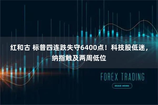 红和古 标普四连跌失守6400点！科技股低迷，纳指触及两周低位