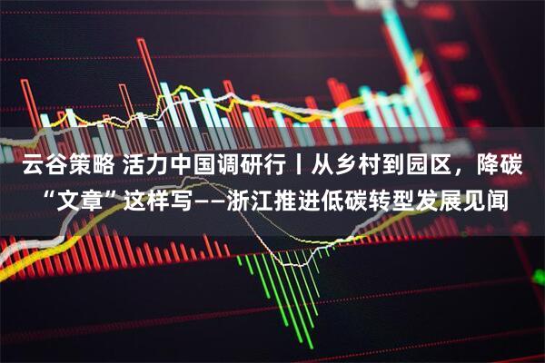 云谷策略 活力中国调研行丨从乡村到园区，降碳“文章”这样写——浙江推进低碳转型发展见闻