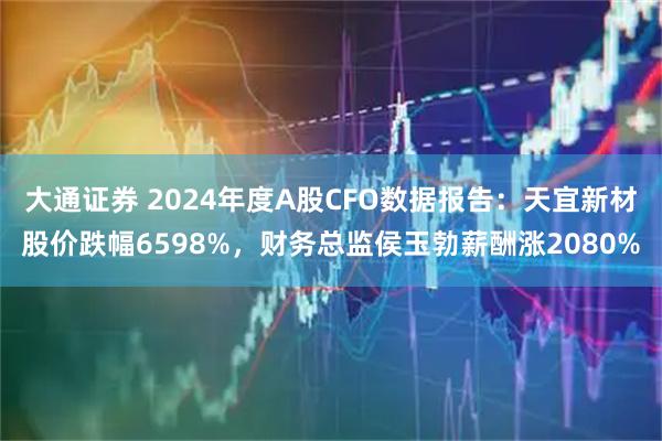 大通证券 2024年度A股CFO数据报告：天宜新材股价跌幅6598%，财务总监侯玉勃薪酬涨2080%