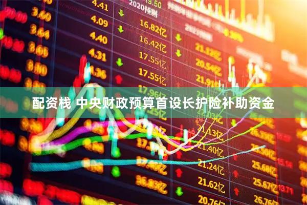 配资栈 中央财政预算首设长护险补助资金